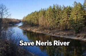 Save Neris Vilia