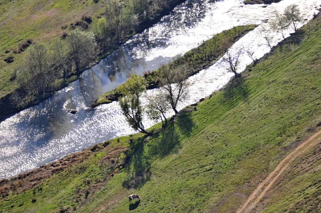 Photo credit: Peter Lengyel